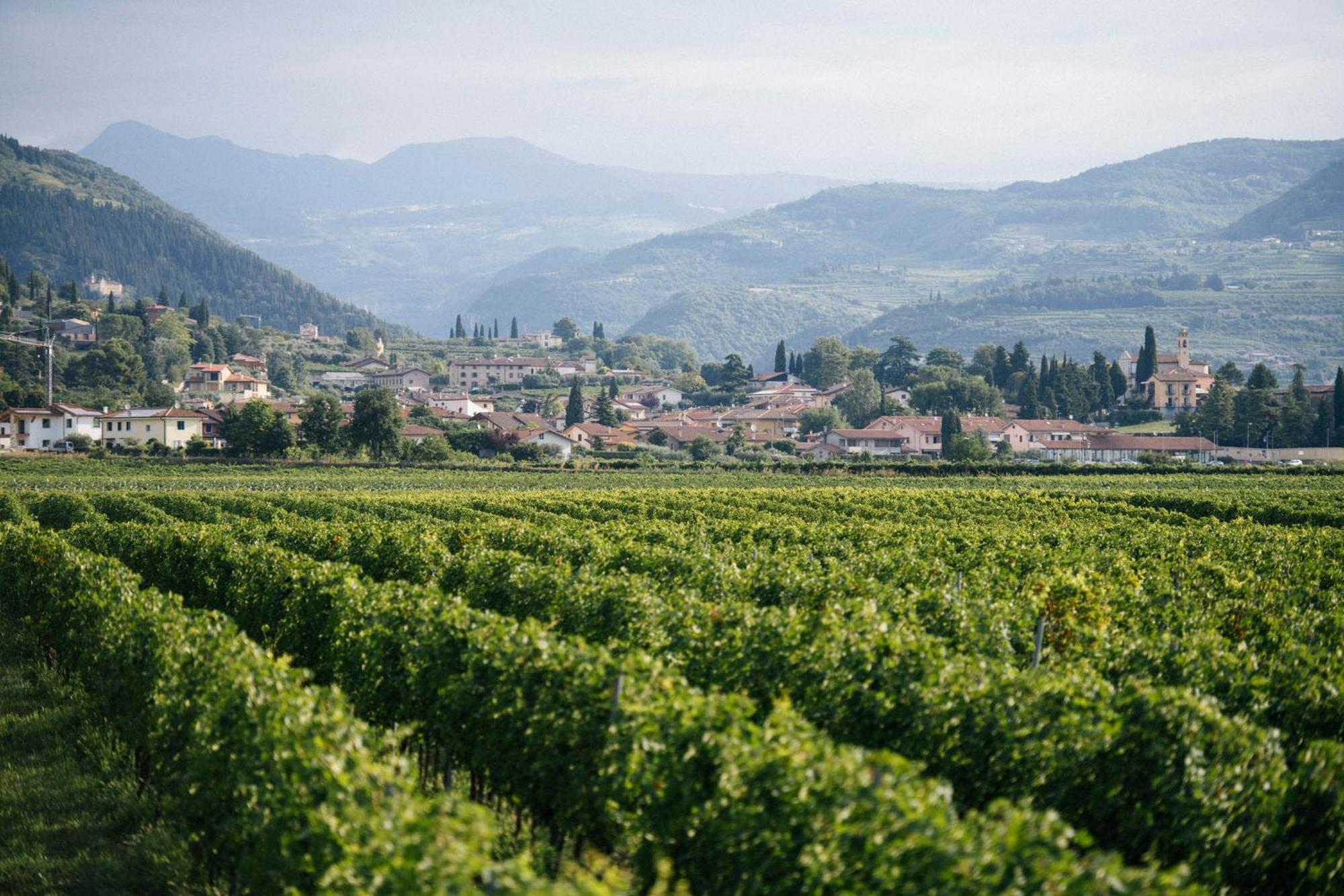 Dimora Buglioni Wine Relais Villa San Pietro in Cariano Luaran gambar