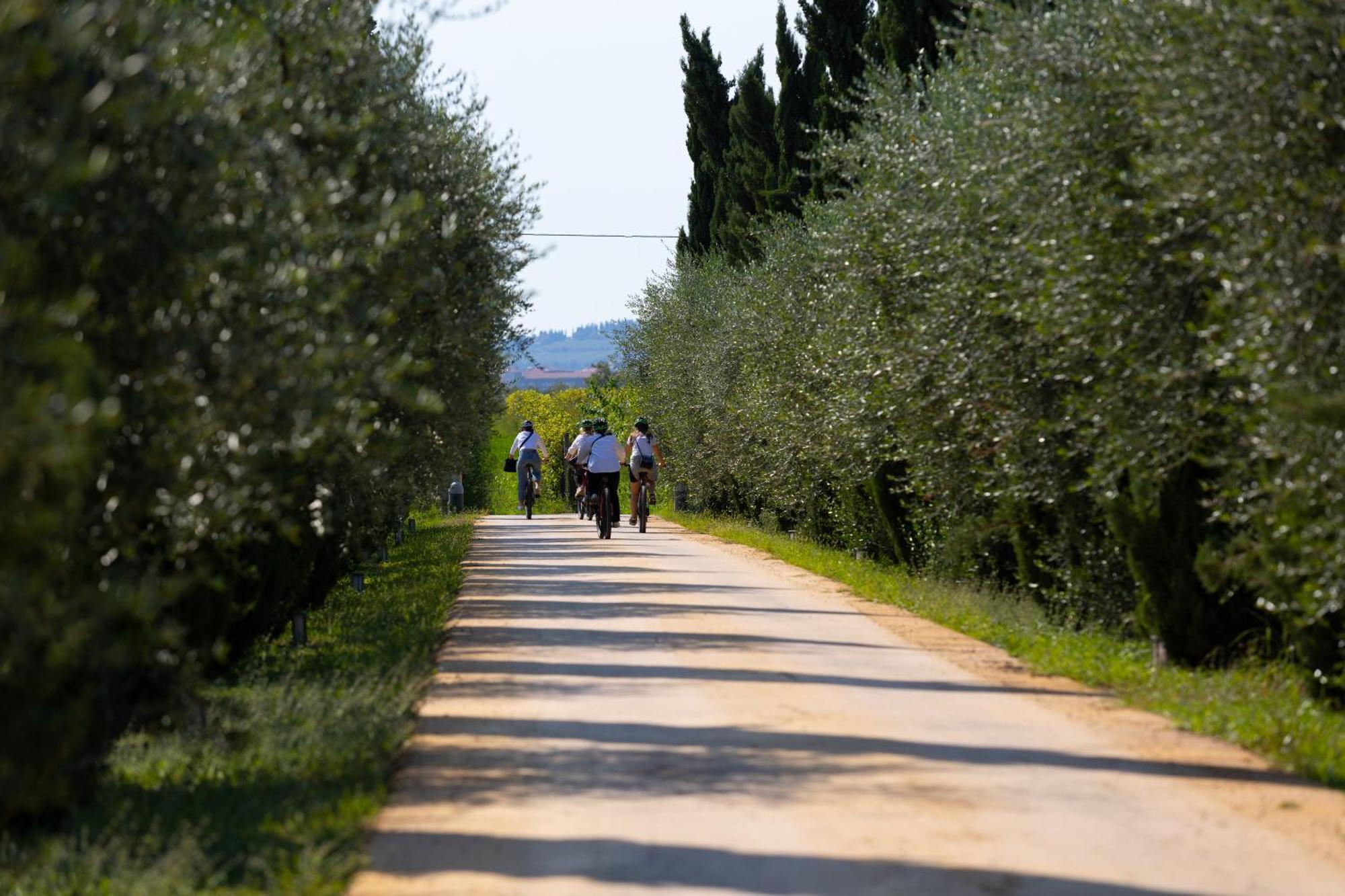 Dimora Buglioni Wine Relais Villa San Pietro in Cariano Luaran gambar